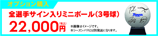 全選手サイン入りミニボール画像